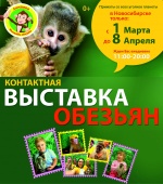 Выставка обезьян «ЛИМПОПО» в ТРК «Ройял Парк»!