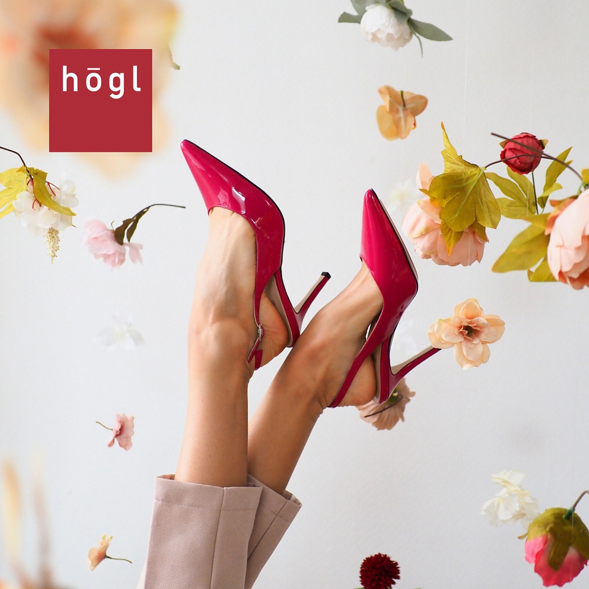 ������� �� Högl